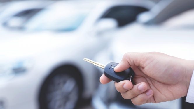 auto noma