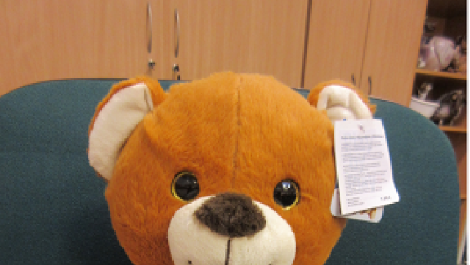 Atsaukums: Mīkstā rotaļlieta – Lācis, Cloud Pet Pals