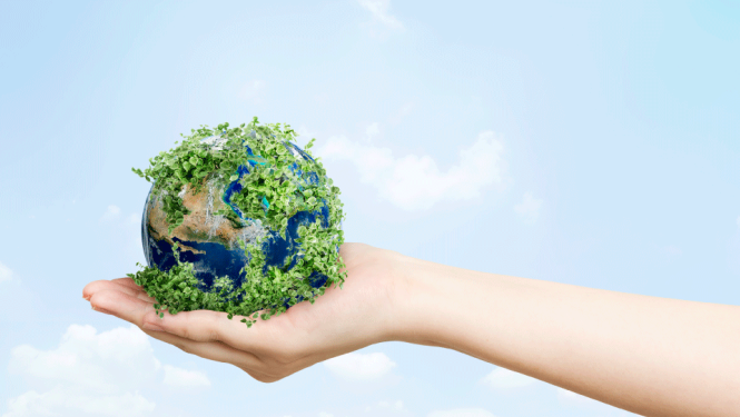 Cilvēka roka tur zemeslodi, kas pārklāta ar augiem