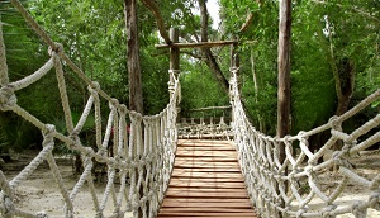 Apstiprinātas Vadlīnijas virvju trašu izklaides pakalpojuma drošumam